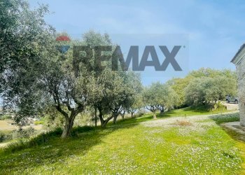 Giardino - Rustico Potenza Picena - foto 16