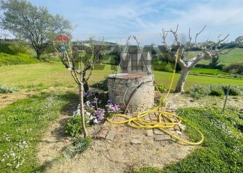 Giardino - Rustico Potenza Picena - foto 17