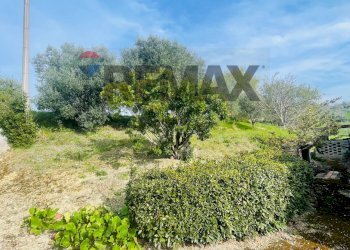 Giardino - Rustico Potenza Picena - foto 24