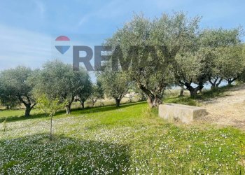 Giardino - Rustico Potenza Picena - foto 25