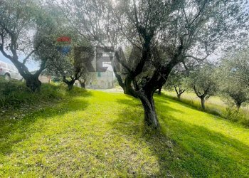 Giardino - Rustico Potenza Picena - foto 29