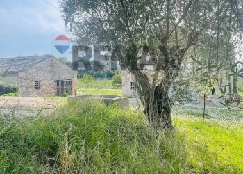 Giardino - Rustico Potenza Picena - foto 30