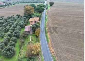 Giardino - Casa indipendente Strada Provinciale 304, Castiglione del Lago - foto 3