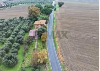 Giardino - Casa indipendente Strada Provinciale 304, Castiglione del Lago - foto 7