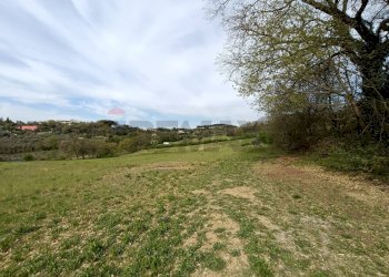 Giardino - Terreno agricolo Via Dei Narcisi
 
Snc, Perugia - foto 1