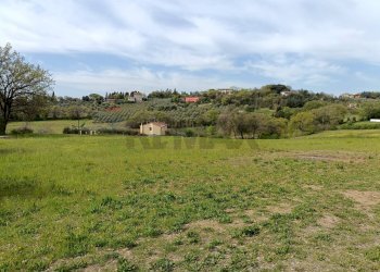 Giardino - Terreno agricolo Via Dei Narcisi
 
Snc, Perugia - foto 6