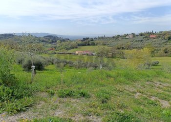 Vista delle montagne - Terreno agricolo Via Dei Narcisi
 
Snc, Perugia - foto 7
