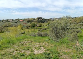 Vista delle montagne - Terreno agricolo Via Dei Narcisi
 
Snc, Perugia - foto 12
