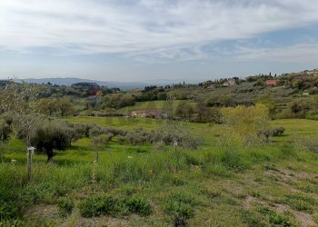 Vista delle montagne - Terreno agricolo Via Dei Narcisi
 
Snc, Perugia - foto 14