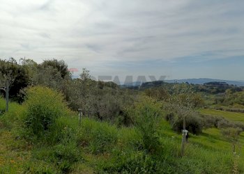 Vista delle montagne - Terreno agricolo Via Dei Narcisi
 
Snc, Perugia - foto 15