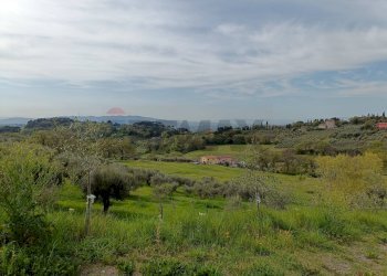 Vista delle montagne - Terreno agricolo Via Dei Narcisi
 
Snc, Perugia - foto 16
