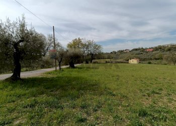 Giardino - Terreno agricolo Via Dei Narcisi
 
Snc, Perugia - foto 18