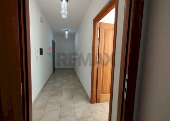 Hall / corridoio - Trilocale Nettuno - foto 16