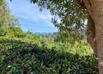 Vista delle montagne - Trilocale Rio - foto 4