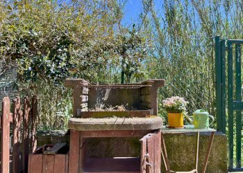 Giardino - Bilocale La Ginestra, Rio nell'Elba, Rio - foto 10