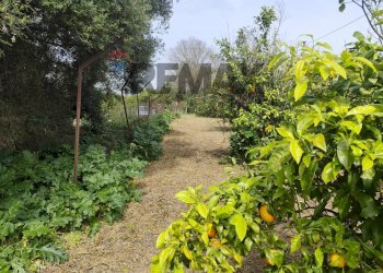 Giardino - Agricultural land traversa ponte di pietra, Siracusa - photo 4