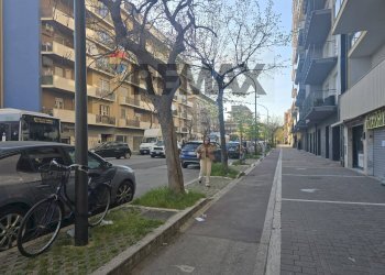 Edificio all\'aperto - Attività Commerciale Viale Gabriele D'annunzio
 
263/5, Pescara - foto 3