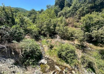 Foto 27 - Villa Contrada Fiumara
 
40, Tortorici - foto 27