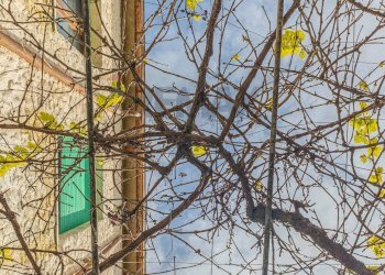 Edificio all\'aperto - Independent house Via dei Mille
 
snc, Perfugas - photo 37