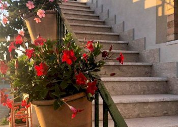 Scale - Casa indipendente Fontanarosa - foto 9