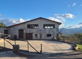 Casa all\'aperto - Casa indipendente Fontanarosa - foto 10
