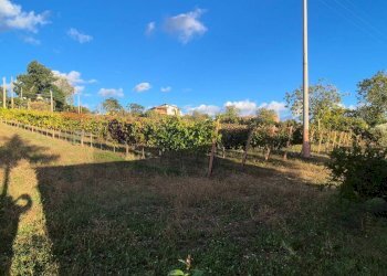 Giardino - Casa indipendente Fontanarosa - foto 11