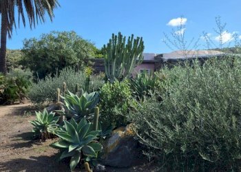 Foto 4 - Villa Via Lago
 
snc, Pantelleria - foto 4