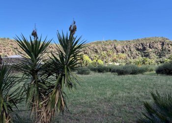 Foto 10 - Villa Via Lago
 
snc, Pantelleria - foto 10