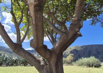 Foto 12 - Villa Via Lago
 
snc, Pantelleria - foto 12