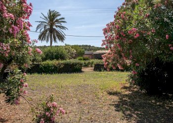 Foto 3 - Villa Via Lago
 
snc, Pantelleria - foto 3