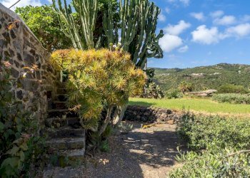 Foto 25 - Villa Via Lago
 
snc, Pantelleria - foto 25