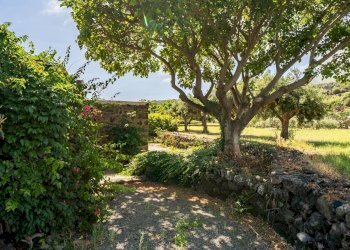 Foto 28 - Villa Via Lago
 
snc, Pantelleria - foto 28
