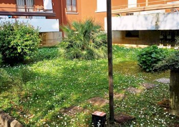 Foto 12 - Trilocale Lanzi
 
51, Cornate d'Adda - foto 12