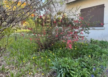 Giardino - Trilocale Via Roma
 
70, Pellegrino Parmense - foto 4