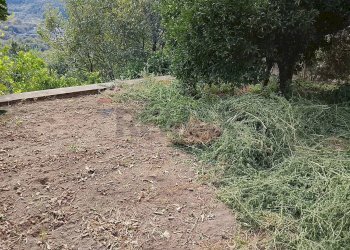 Giardino - Casa semi indipendente Sessa Aurunca - foto 6