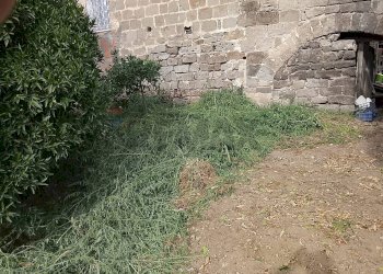 Giardino - Casa semi indipendente Sessa Aurunca - foto 7