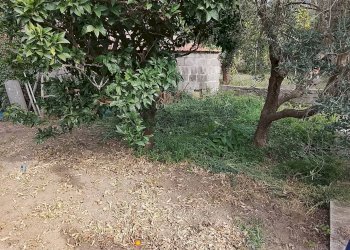 Giardino - Casa semi indipendente Sessa Aurunca - foto 8