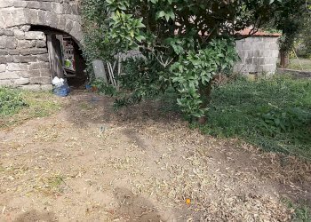 Giardino - Casa semi indipendente Sessa Aurunca - foto 9