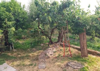 Giardino - Villa via marini
 
12, Sessa Aurunca - foto 4