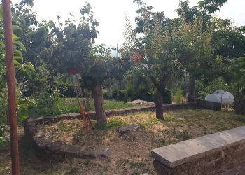 Giardino - Villa via marini
 
12, Sessa Aurunca - foto 5