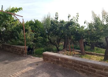 Giardino - Villa via marini
 
12, Sessa Aurunca - foto 6