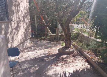 Giardino - Casa indipendente via avezzano, Sessa Aurunca - foto 6