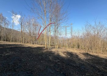 Foto 7 - Terreno agricolo Pinerolo - foto 7