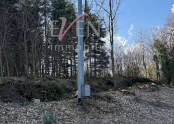 Foto 8 - Terreno agricolo Pinerolo - foto 8