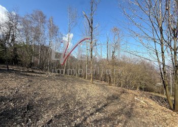 Foto 9 - Terreno agricolo Pinerolo - foto 9