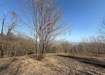 Foto 10 - Terreno agricolo Pinerolo - foto 10