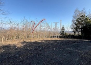 Foto 11 - Terreno agricolo Pinerolo - foto 11