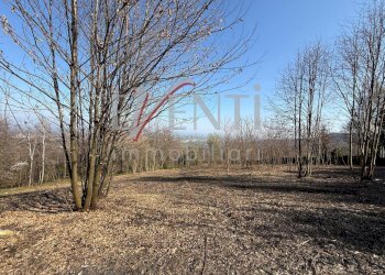 Foto 12 - Terreno agricolo Pinerolo - foto 12