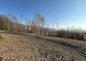 Foto 14 - Terreno agricolo Pinerolo - foto 14