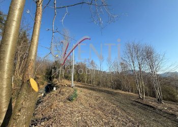 Foto 18 - Terreno agricolo Pinerolo - foto 18